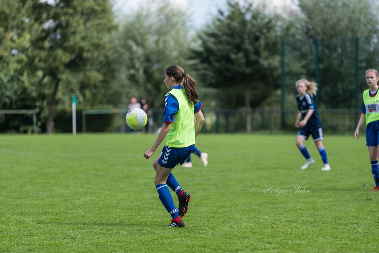 Bild 318 - B-Juniorinnen VfL Pinneberg - HSV : Ergebnis: 1:4